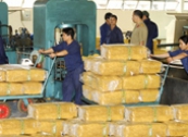 Nhập khẩu cao su từ Indonesia tăng mạnh vượt trội